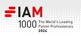 IAM Patent 2024