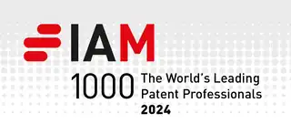 IAM Patent 2024