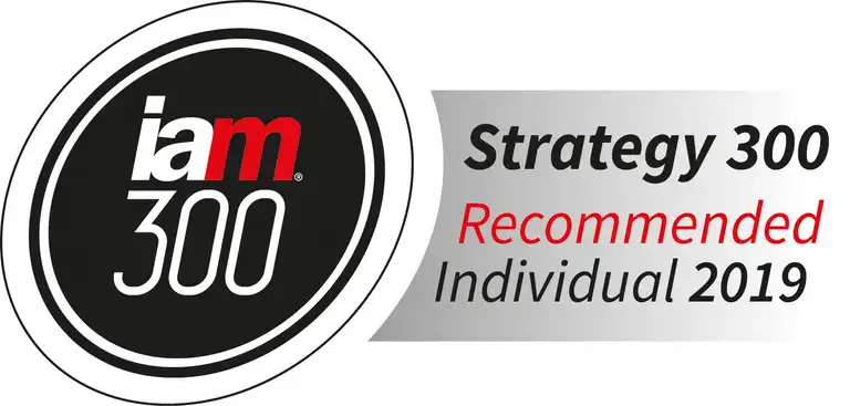 iam 300 Logo